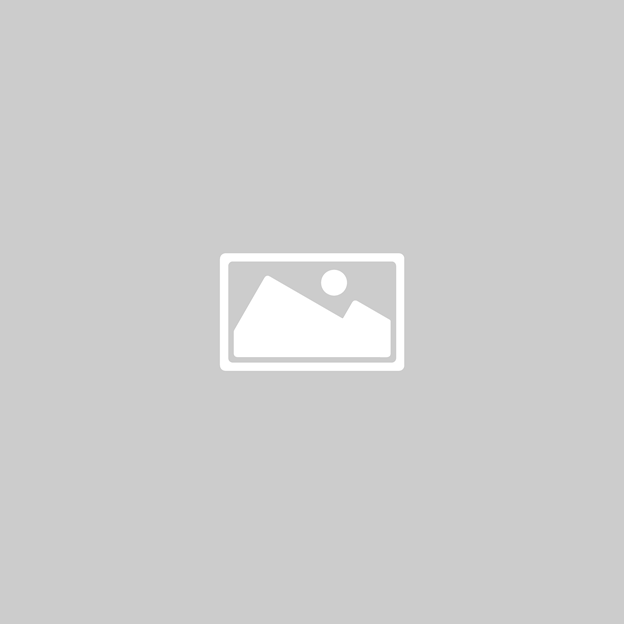Aktivitetsserie 15-16. januar